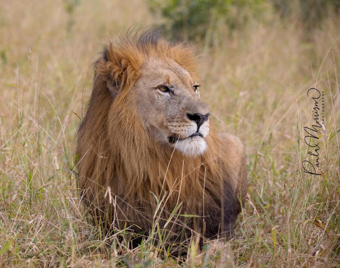 Sungulwane Private Game Lodge Hluhluwe Dış mekan fotoğraf