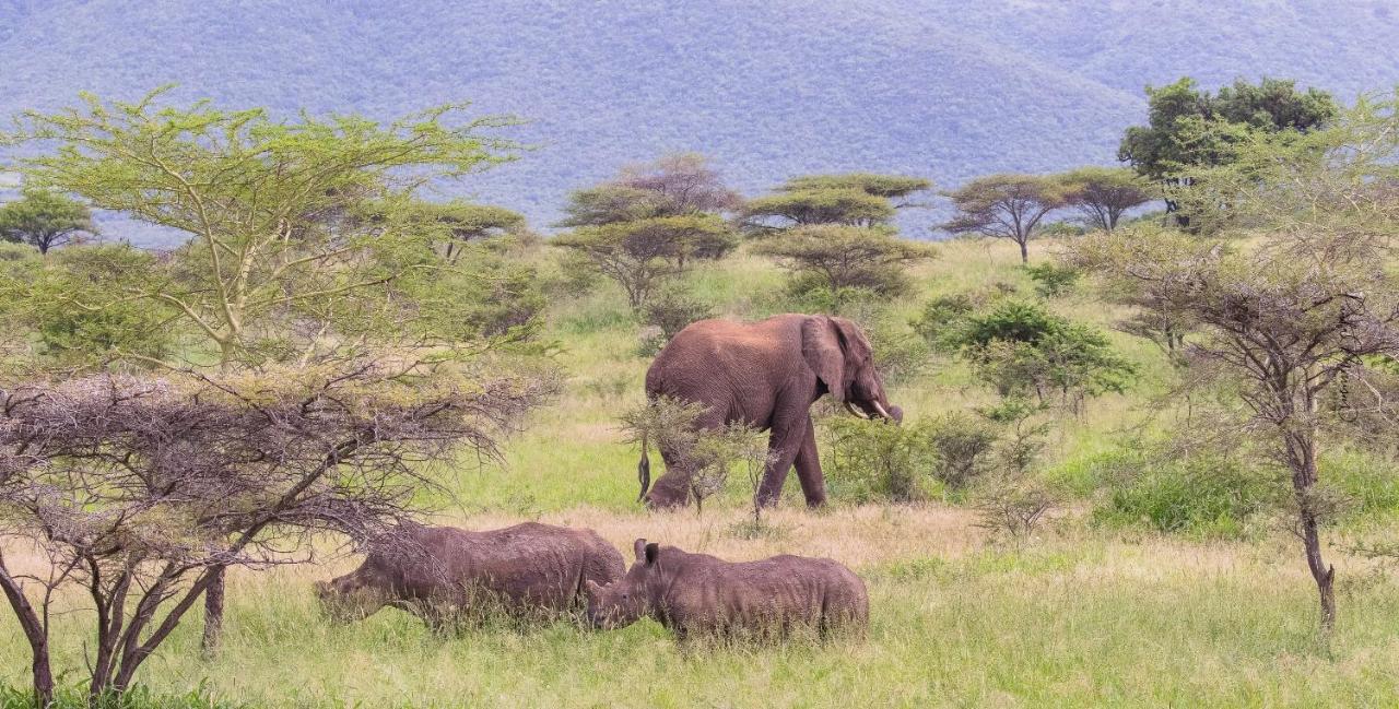 Sungulwane Private Game Lodge Hluhluwe Dış mekan fotoğraf