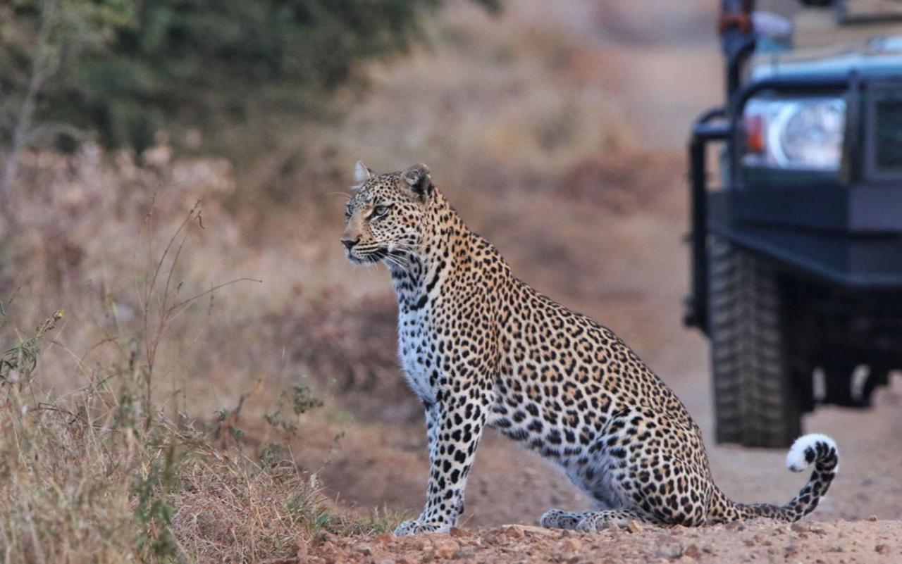 Sungulwane Private Game Lodge Hluhluwe Dış mekan fotoğraf