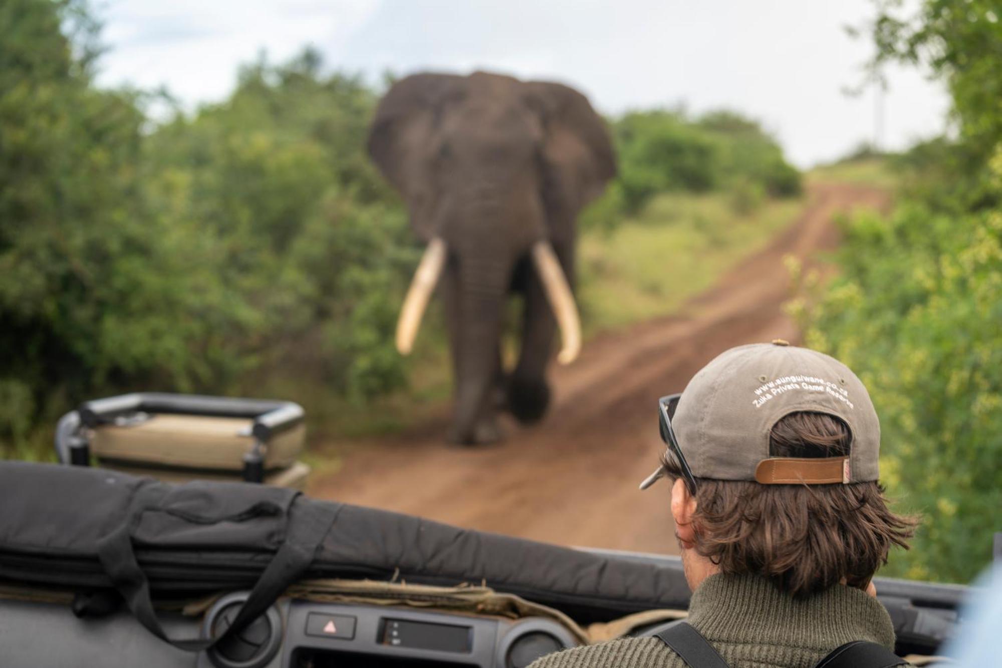 Sungulwane Private Game Lodge Hluhluwe Dış mekan fotoğraf